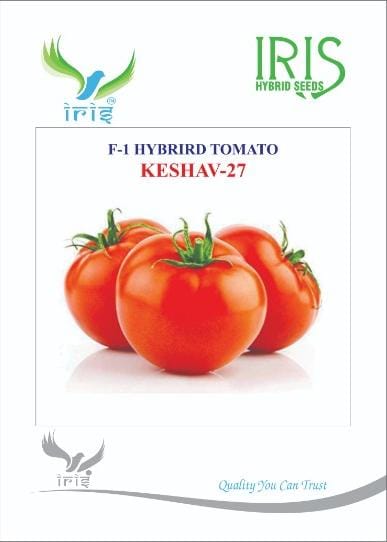 IRIS HYBRID VEGETABLE SEEDS F1 HYBRID TOMATO KESHAV 27 product  Image 2