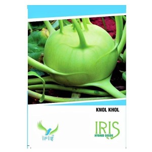 IRIS KNOL KHOL SEEDS product  Image 1