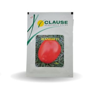 ALANKAR TOMATO F1 (अलंकार टमाटर) - SEEDS product  Image 1