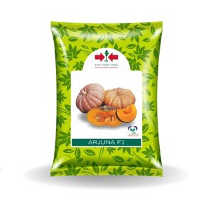 ARJUNA PUMPKIN SEEDS product  Image 1