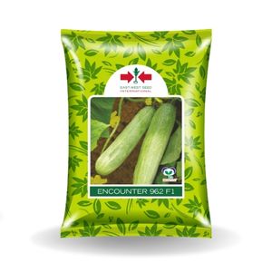 ENCOUNTER CUCUMBER product  Image 1