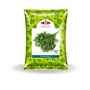 RAMSES CORIANDER SEEDS product  Image 1