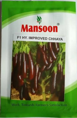 MANSOON BRINJAL CHHAYA IMPROVED SEEDS product  Image 2