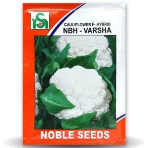 VARSHA CAULIFLOWER product  Image 1