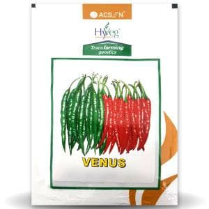 VENUS CHILLI product  Image 1