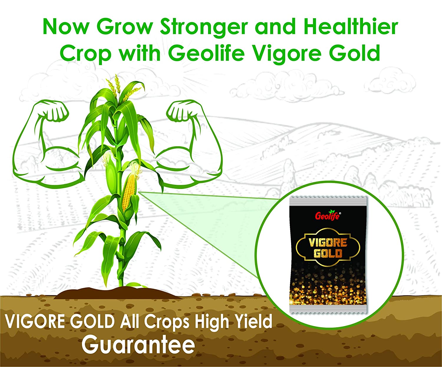 GEOLIFE VIGORE GOLD (BIO FERTILIZER) product  Image 4