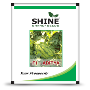 SHINE WATER MELON ADITYA F1 HYBRID SEEDS product  Image 2