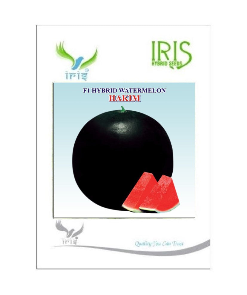 IRIS HYBRID HAKIM WATERMELON SEEDS product  Image 2