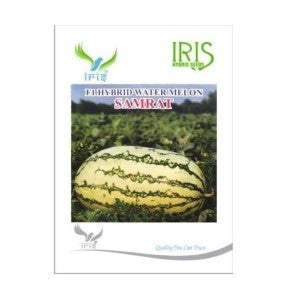 IRIS HYBRID FRUIT SEEDS WATERMELON SAMRAT - ICE BOX SEGMENT SEED product  Image 1