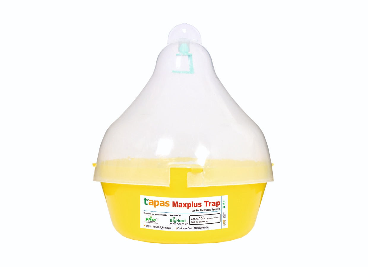 TAPAS FRUIT FLY TRAP - MAXPLUS product  Image 2