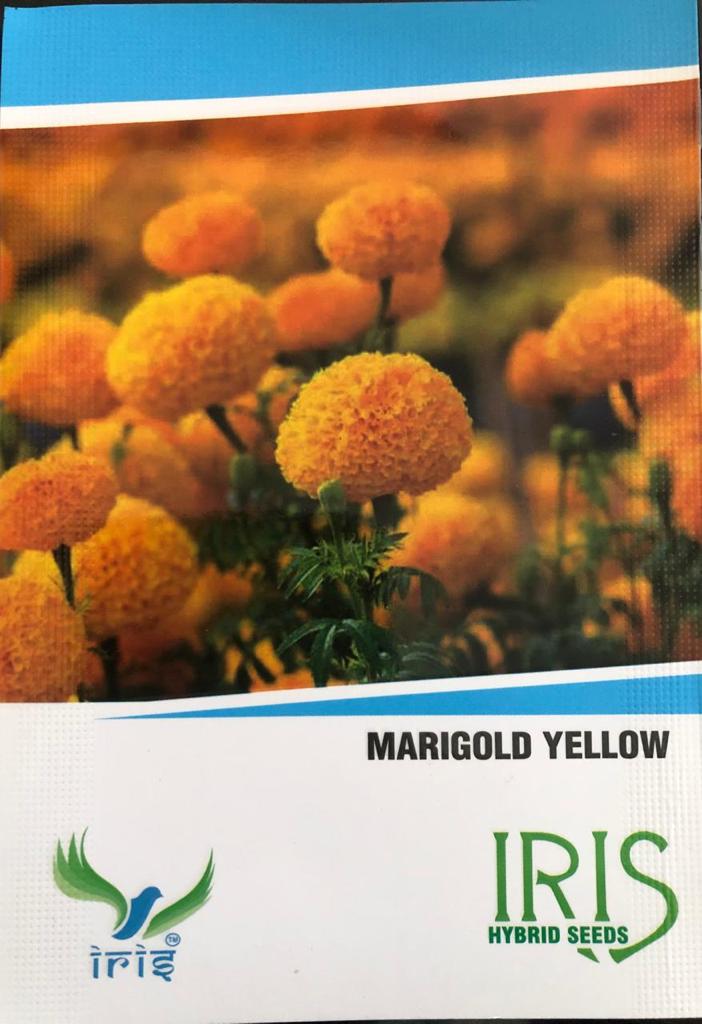 MARIGOLD YELLOW FLOWER SEEDS product  Image