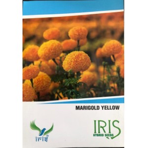 MARIGOLD YELLOW FLOWER SEEDS product  Image