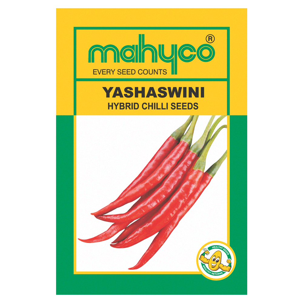 YASHASWINI CHILLI product  Image 1