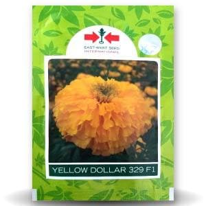 YELLOW DOLLAR MARIGOLD product  Image 1