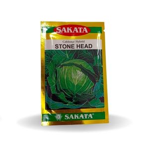 STONE HEAD CABBAGE product  Image 1