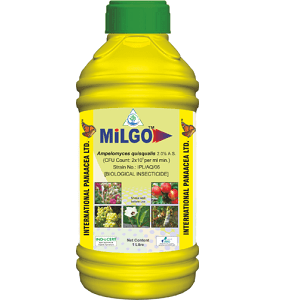 MILGO (AMPELOMYCES QUISQUALIS) BIO FUNGICIDE product  Image