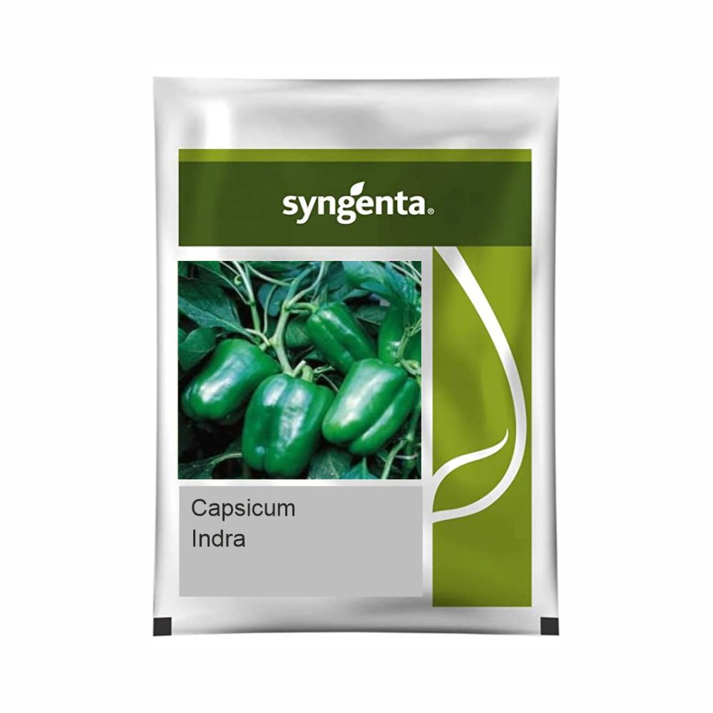 INDRA HYBRID CAPSICUM SEEDS product  Image 1