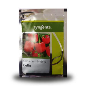 CELIN CAPSICUM product  Image