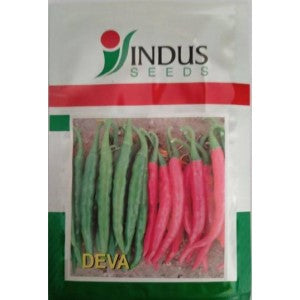 INDUS CHILLI DEVA F1 HYBRID SEEDS product  Image 1