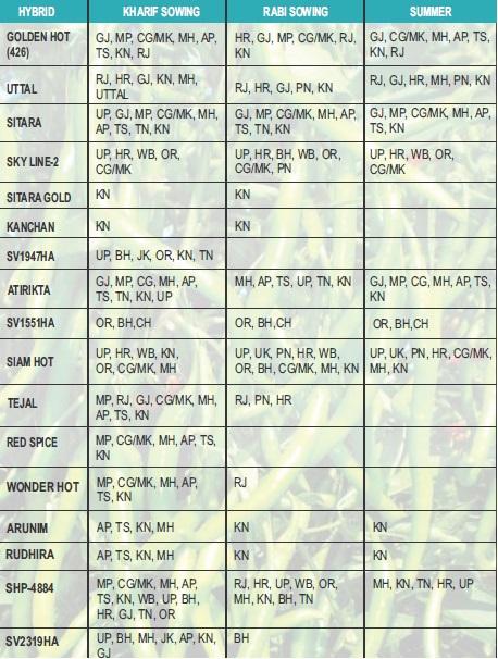 ARUNIM CHILLI (अरुणिम मिर्च ) product  Image 4