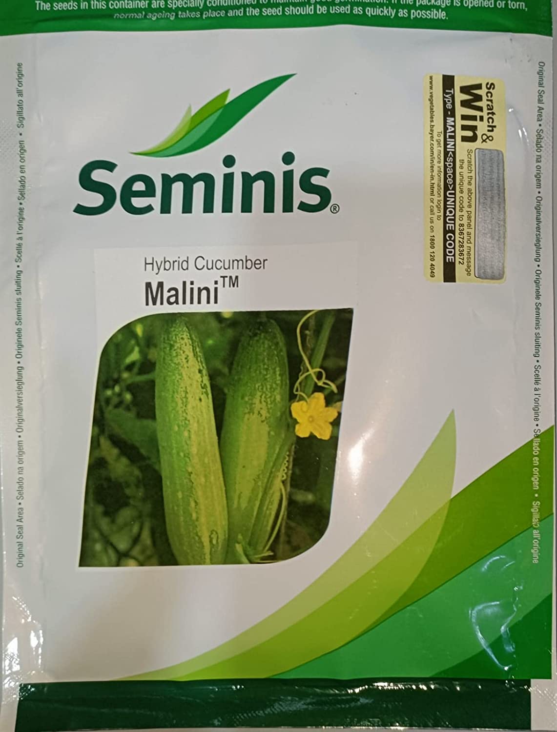 SEMINIS MALINI CUCUMBER SEEDS, LIGHT GREEN COLOUR FRUIT & HIGH YIEDLING product  Image