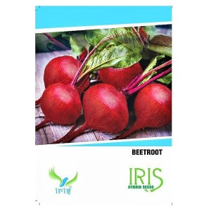 IRIS HYBRID OP VEGETABLE SEEDS BEETROOT product  Image 1