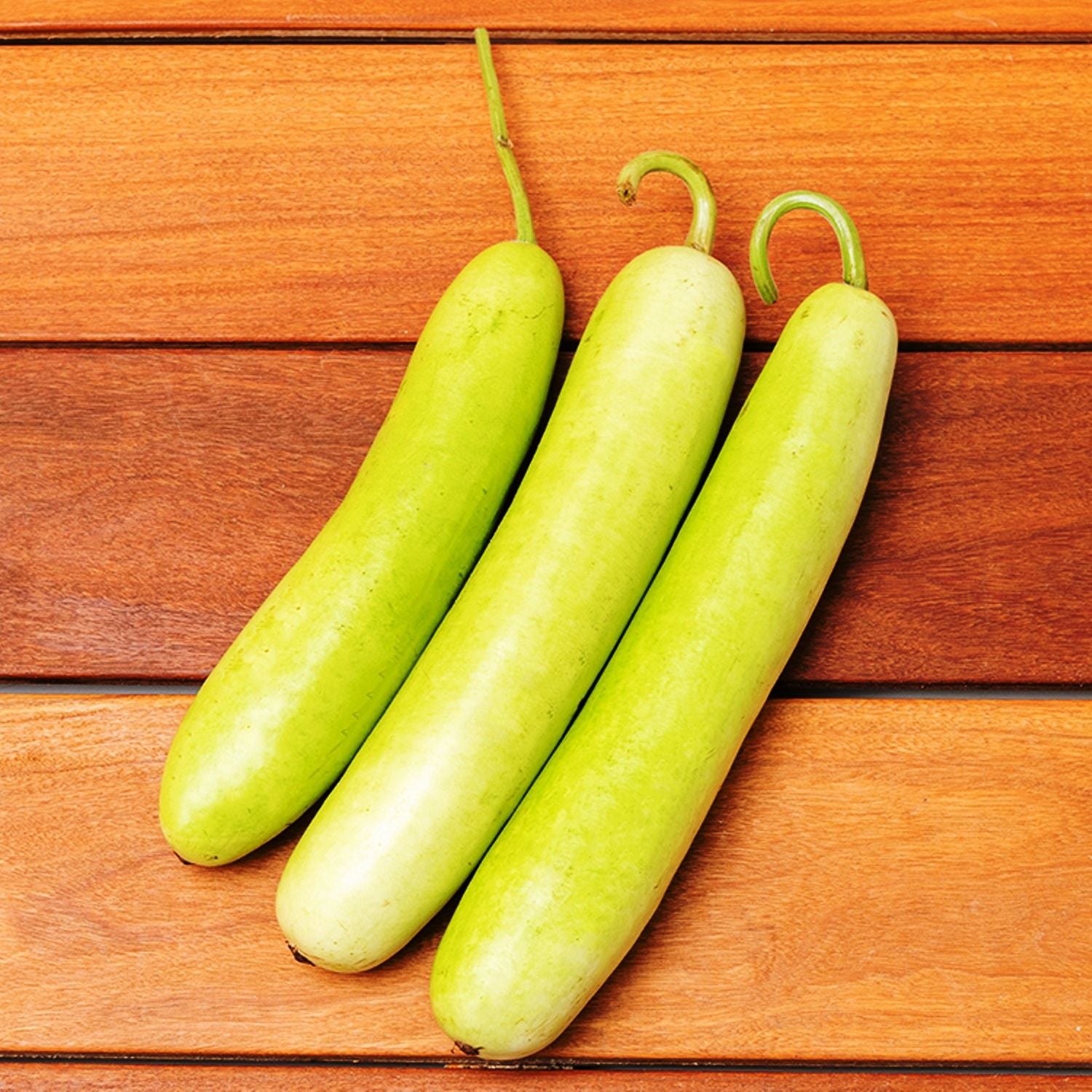 IRIS HYBRID VEGETABLE BOTTLE GOURD SEEDS product  Image 3