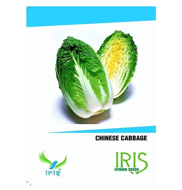 IRIS HYBRID VEGETABLE SEEDS CHINESE CABBAGE product  Image 2