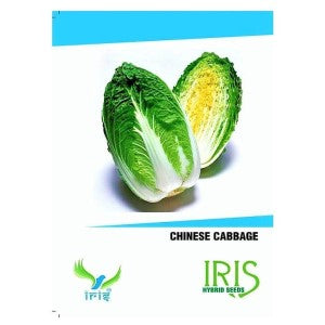 IRIS HYBRID VEGETABLE SEEDS CHINESE CABBAGE product  Image 1