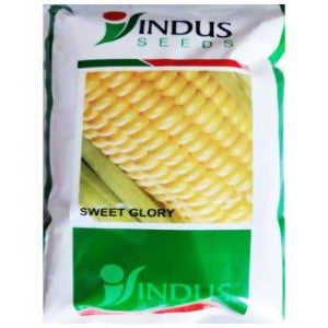 INDUS SWEET CORN SWEET GLORY SEEDS product  Image 1