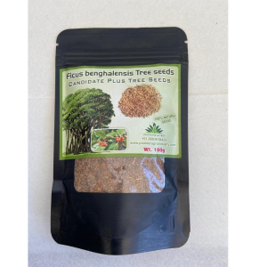 PIONEER AGRO BANYAN TREE SEEDS product  Image 1