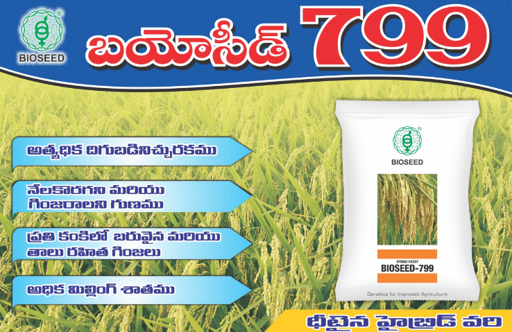 BIOSEED HYBRID PADDY 799 product  Image 2