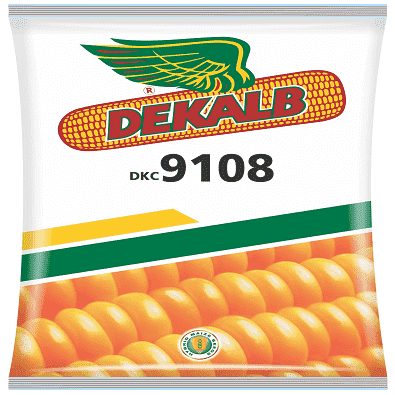 DEKALB 9108 CORN product  Image