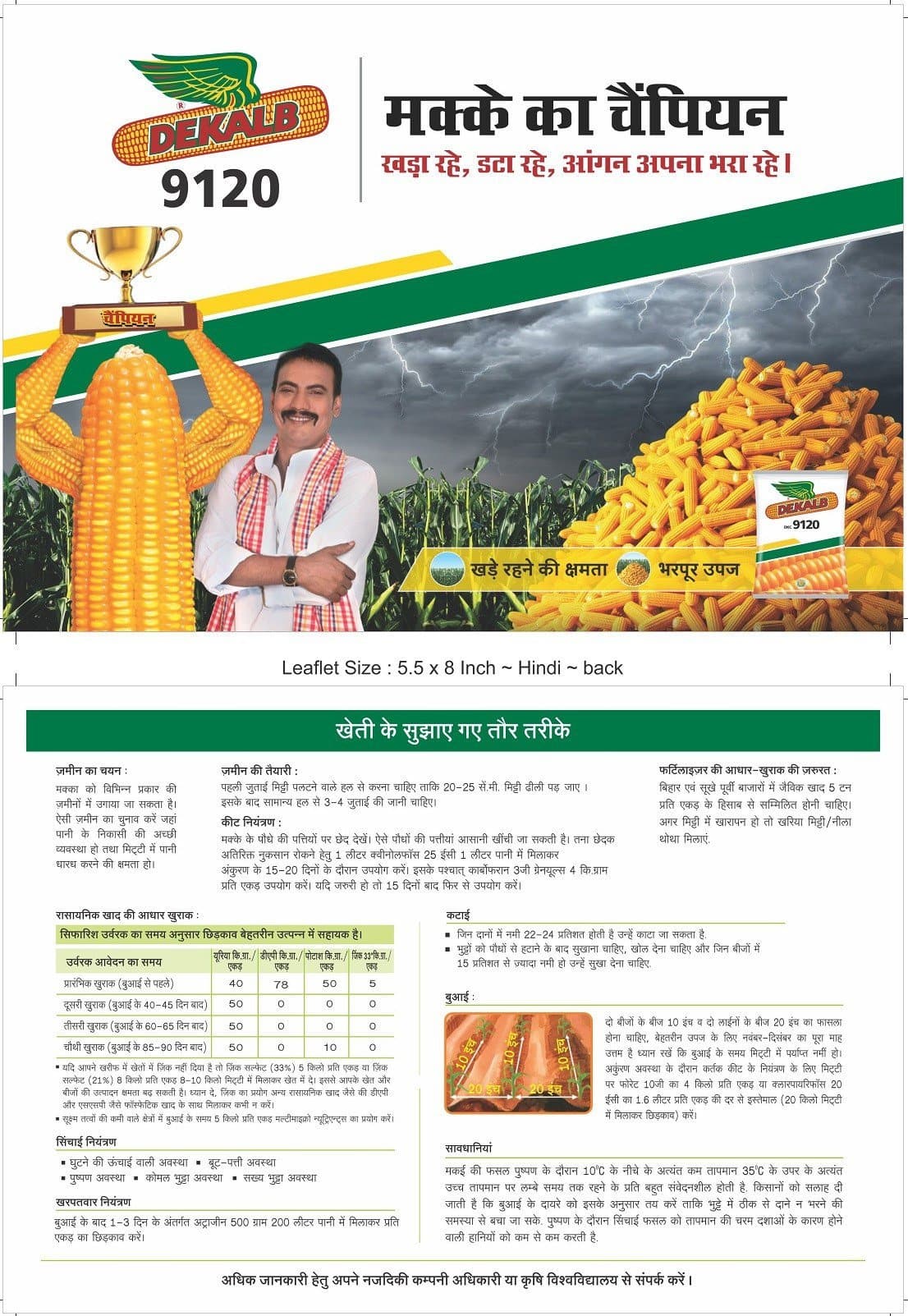 Dekalb 9120 Corn Seed Buy Online At Best Price BigHaat