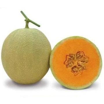 Botanical Interests Seeds, Melon, Honeydew, Sweet Delight - 1 gram