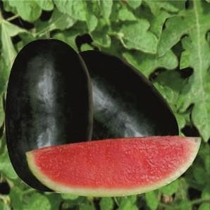 MAHIMA WATERMELON product  Image 3