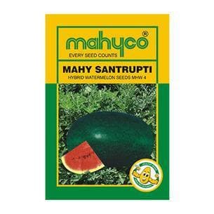 MAHY SANTRUPTI WATERMELON SEEDS product  Image 1