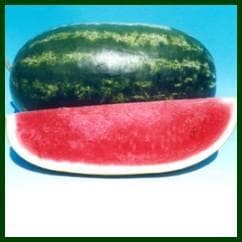 SUPRIT (सुप्रीत) WATER MELON product  Image 2