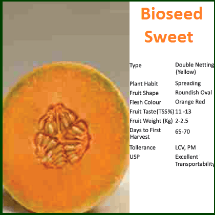 SWEET MUSKMELON product  Image 1