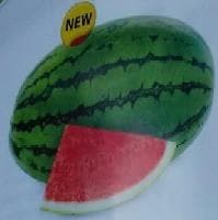 VASUDHA WATER MELON product  Image 2