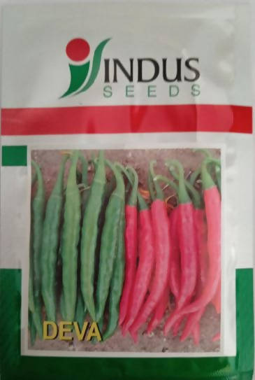 INDUS CHILLI DEVA F1 HYBRID SEEDS product  Image 2