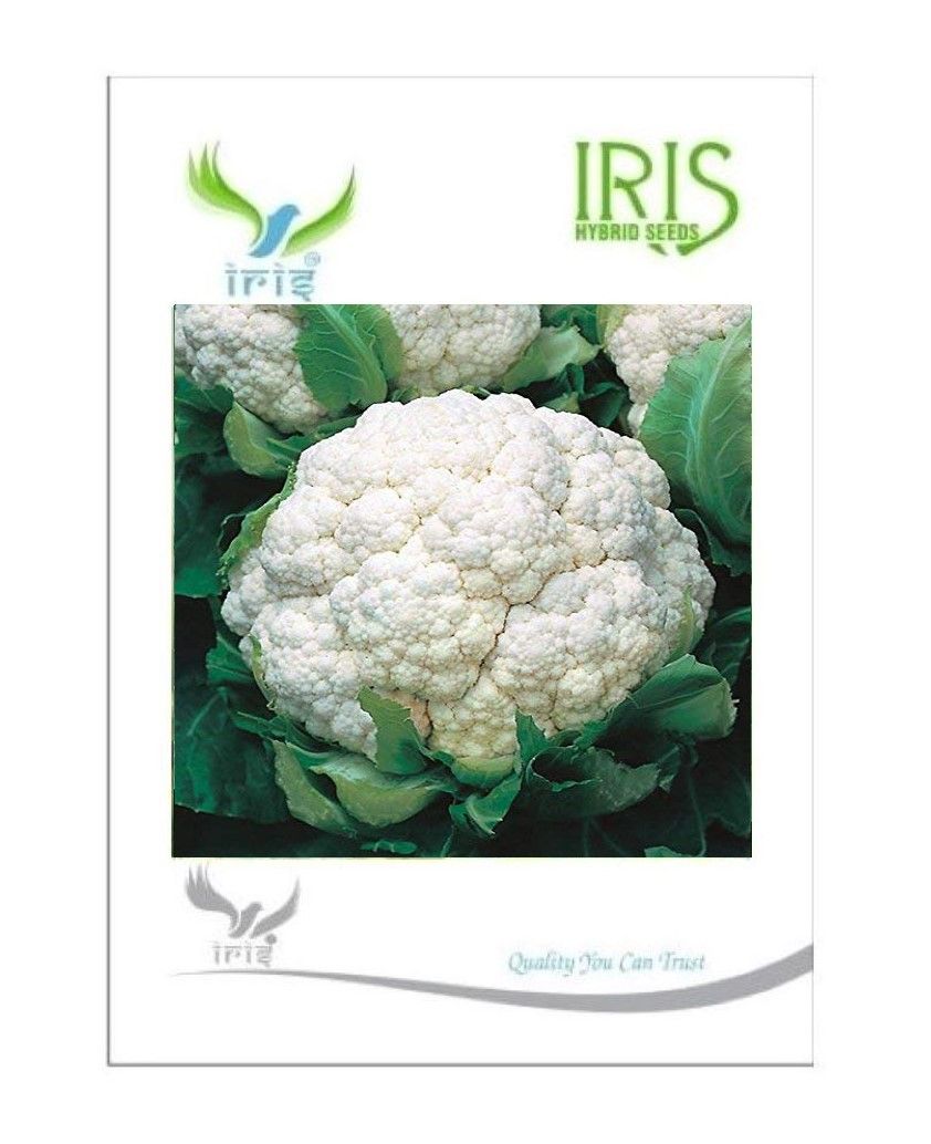 IRIS HYBRID VEGETABLE SEEDS CAULIFLOWER product  Image 2