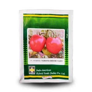 INDAM - 13201 TOMATO SEEDS product  Image 1