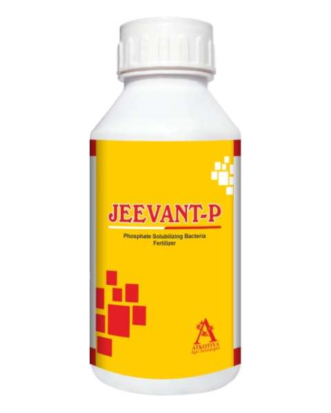 JEEVANT- P Phosphate Solubilizing Bacteria Fertilizer product  Image 1