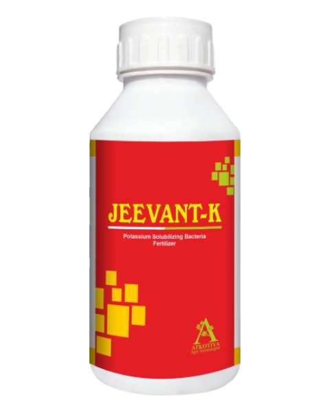 JEEVANT-K Potassium Solubilizing Bacteria Fertilizer product  Image
