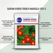 SARPAN HYBRID FRENCH MARIGOLD (SFR) - 5 RED SEEDS product  Image 2