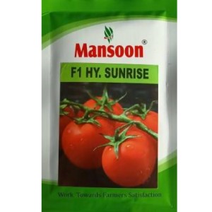 MANSOON F1 HY. SUNRISE TOMATO SEEDS product  Image 1