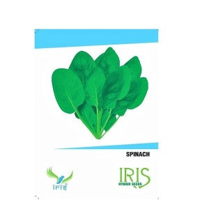 IRIS HYBRID SPINACH SEEDS PALAK product  Image 1