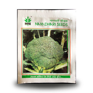 NS 1253 BROCCOLI product  Image 1