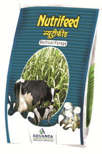 NUTRIFEED FORAGE product  Image